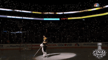 2019 stanley cup finals GIF by NHL