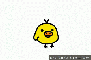 rilakkuma