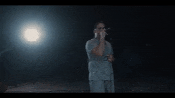 Birdshot GIF