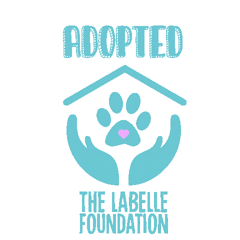 LabelleFoundation Sticker