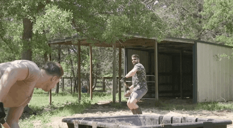 Throw Things GIFs - Find & Share on GIPHY