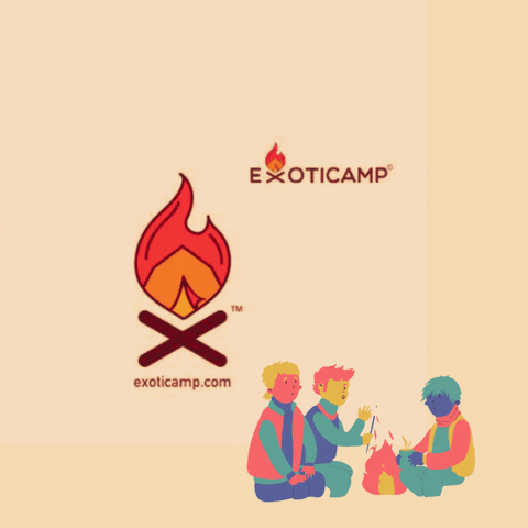 Exoticamp adventure forest camping camp GIF