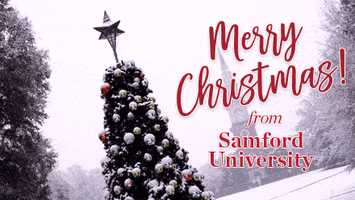 Samford Christmas GIF by Samford University