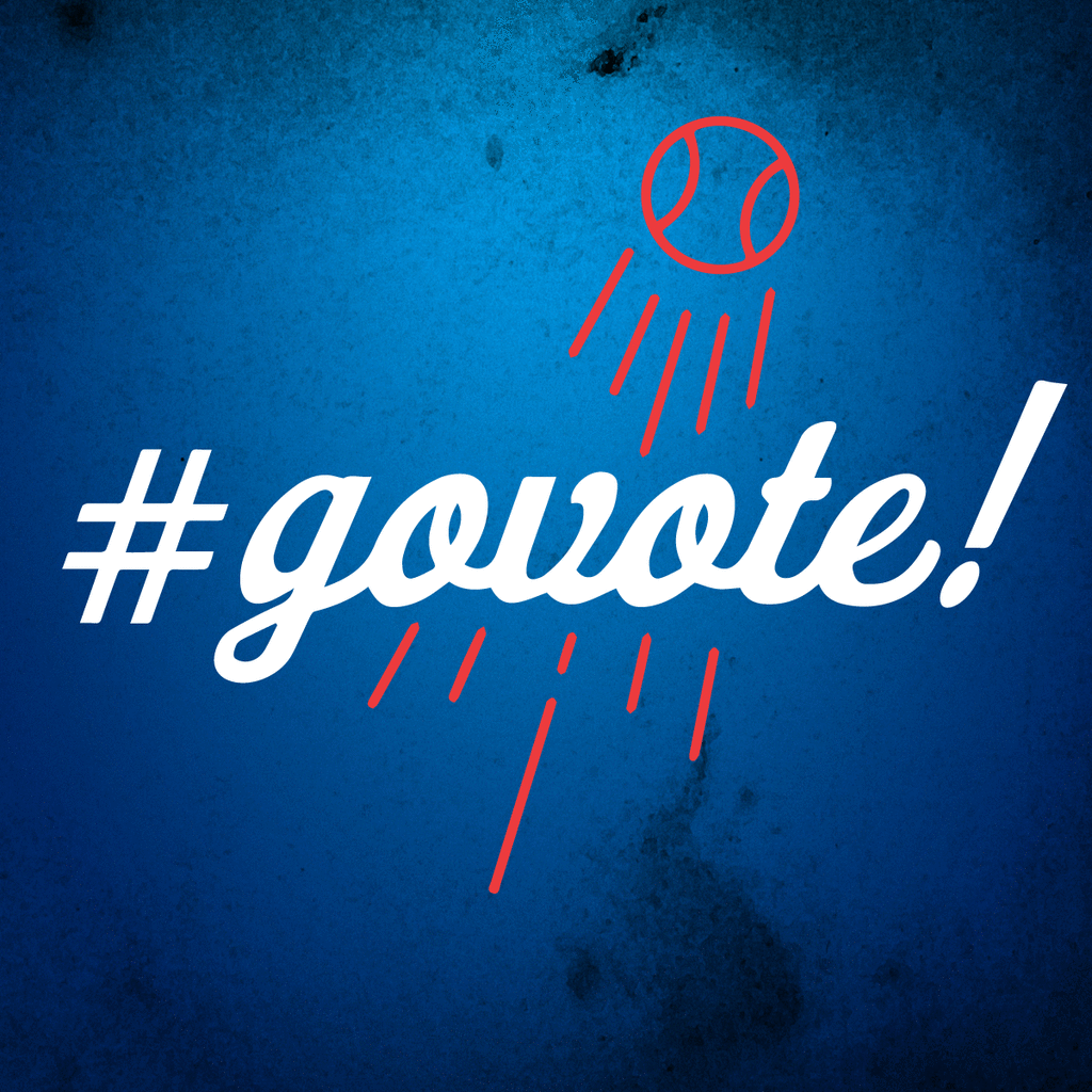 Voting Super Tuesday GIF by GoVote Find &amp; Share on GIPHY