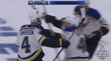 Ice Hockey Hug GIF by NHL