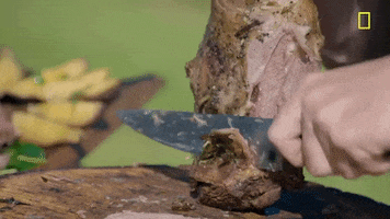 Gordon Ramsay Carve GIF by National Geographic Channel