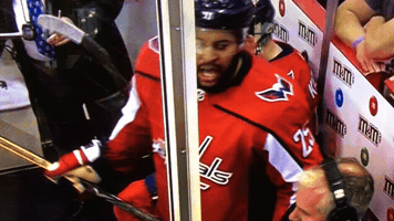 Smith Pelly Playoffs GIF