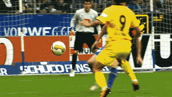 bundesliga GIF by Borussia Dortmund