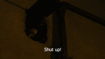 Junkie Shut Up GIF by Better Call Saul
