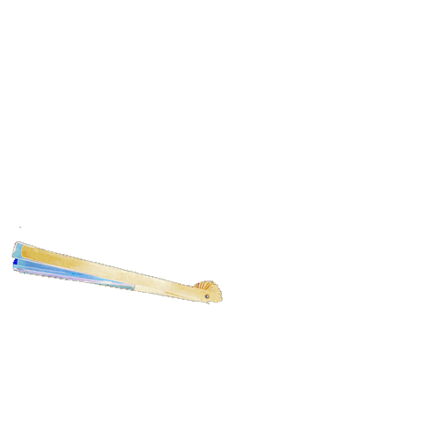 Summer Beach Sticker by Hawaiian Tropic Fragrances