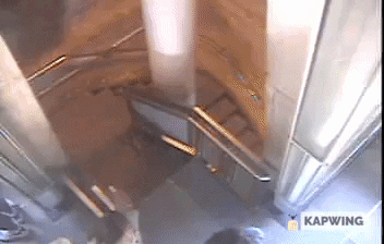 giphy.gif