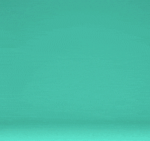 200.gif?cid=fc005b088dfc2e6f526a6e96896af13c8066ca684b0e7bd0&rid=200.gif&ct=g