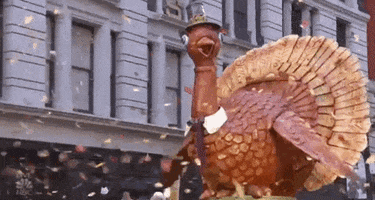 macys parade tom turkey GIF by The 92nd Annual Macy’s Thanksgiving Day Parade