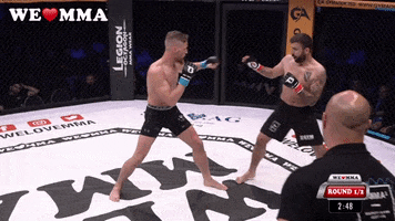 Fight Boxing GIF by We love MMA - Find & Share on GIPHY
