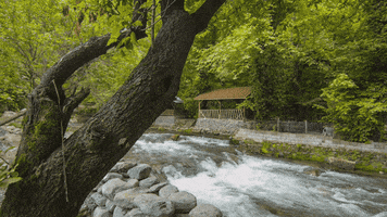 Water River GIF by Go Turkey