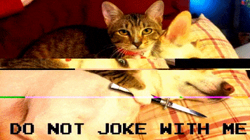 Ha Ha Ha GIF