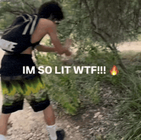 Lexus Crashing GIF
