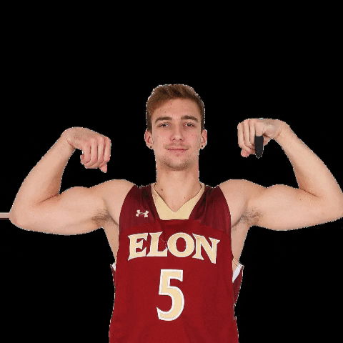 Elon Phoenix GIF