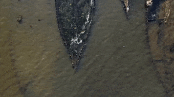200.gif?cid=fc005b08a44e1598f44d2613767de670770d3938b1a06b44&rid=200.gif&ct=g