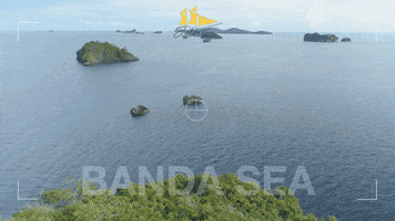 Jakare Liveaboard GIF