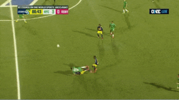 Red Bulls GIF by ONE World Sports