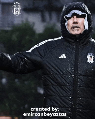 Beşiktaş GIF