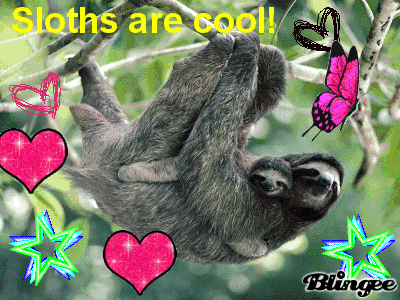 sloths