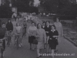 Brabant Houdoe GIF by BrabantinBeelden