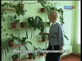 gubdaily  GIF