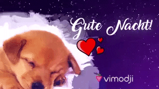 Digital compilation gif. Cute puppy is edited to look like it's sleeping on a fluffy cloud with hearts twinkling around its head in the night sky background. Text, "Gute Nacht."