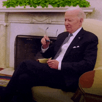 Joe Biden Deal With It GIF by The Democrats