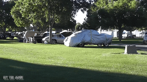 Giphy Who else loves the smell of new car?