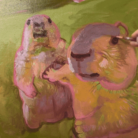 Marmot Hol Up GIF