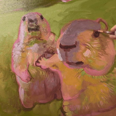 Marmot Hol Up GIF