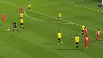 mmmdovilkin  GIF