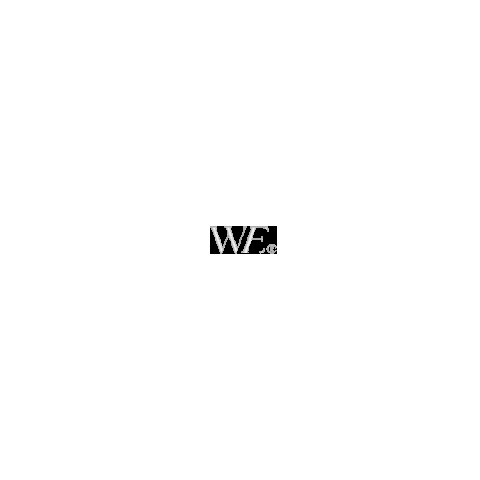Welle Essentials Sticker