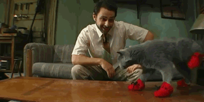 iasip