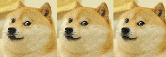 [Image: 200.gif]