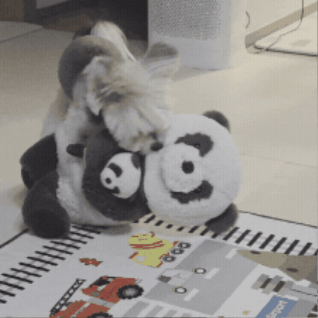 Fight Help GIF