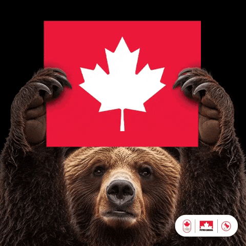 Winter Olympics Bear GIF by PetroCanada