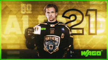 Ice Hockey GIF