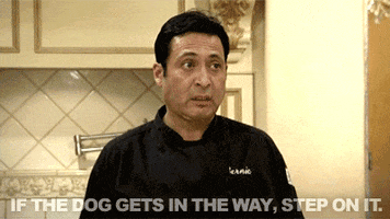 real housewives puppy GIF by RealityTVGIFs