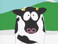 Moo-cow GIFs - Get the best GIF on GIPHY Moo-cow GIFs - Get the best GIF on GIPHY