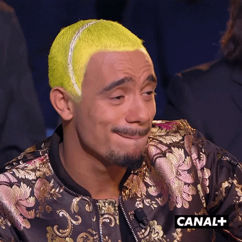 Mister V Humour GIF by CANAL+