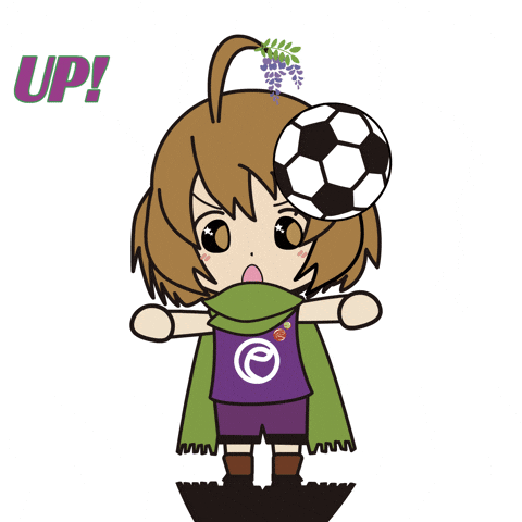 Football Soccer GIF by Entowa's