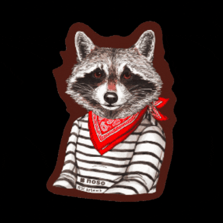 Raccoon Patch GIF by nosopatches