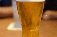 Rocco-beer GIFs - Get the best GIF on GIPHY