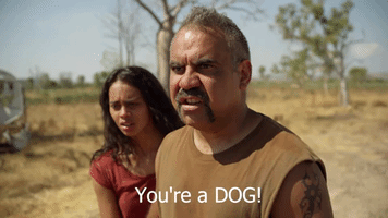 abcindigenous mystery road mysteryroad GIF