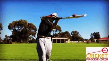 Cricket Precise GIF