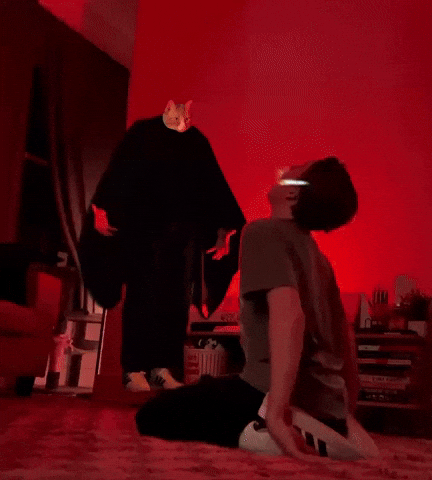 Cat Orange GIF